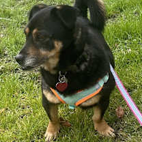 Thumbnail photo of Marco #3