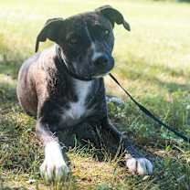 Thumbnail photo of Hotch #1