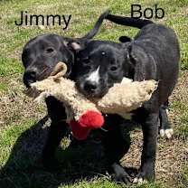 Thumbnail photo of Jimmy #2