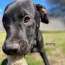 Thumbnail photo of Jimmy #3