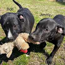 Thumbnail photo of Jimmy #4