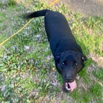 Thumbnail photo of Flopsy #1