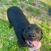 Thumbnail photo of Flopsy #2