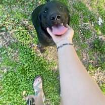 Thumbnail photo of Flopsy #3