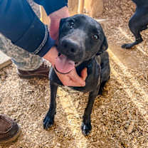 Thumbnail photo of Gabrielle #1