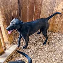 Thumbnail photo of Gabrielle #4