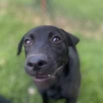 Thumbnail photo of Spaz #2