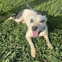 Thumbnail photo of Jesse #2