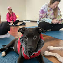 Thumbnail photo of Charlie5 #4