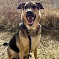 Thumbnail photo of May2 #2