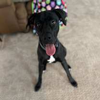 Thumbnail photo of Penny #5