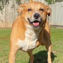 Thumbnail photo of MAVERICK #2
