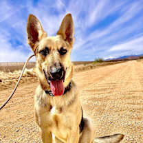 Thumbnail photo of Prince #1