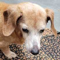 Thumbnail photo of Genevieve Pearl #1