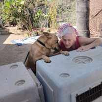Thumbnail photo of EVANTUALLY The MOTHER LOVER #1