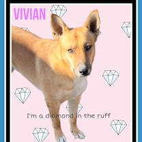 Thumbnail photo of Ethel and Vivian #3