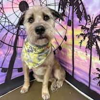 Thumbnail photo of Bear #4