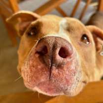 Thumbnail photo of Nellie #2