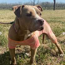 Thumbnail photo of Nellie #1