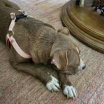 Thumbnail photo of Nellie #3