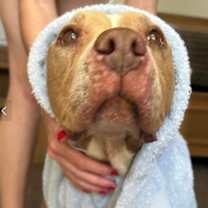 Thumbnail photo of Nellie #4