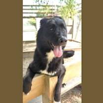 Thumbnail photo of Marina #3