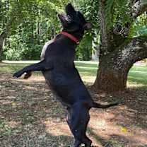 Thumbnail photo of Athena #3