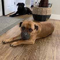Thumbnail photo of Bryn #3