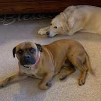 Thumbnail photo of Bryn #4