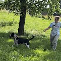 Thumbnail photo of Buck #4