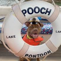 Thumbnail photo of HONEY #2
