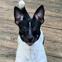 Thumbnail photo of Macy #2