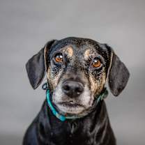 Thumbnail photo of Maggie Mae #3