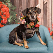 Thumbnail photo of Maggie Mae #1