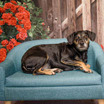 Thumbnail photo of Maggie Mae #4