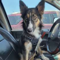 Thumbnail photo of Xena #1