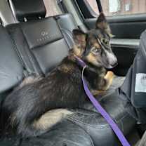 Thumbnail photo of Xena #4
