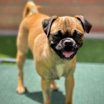 Thumbnail photo of Meg #3