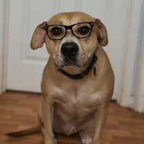 Thumbnail photo of Kirby #4