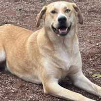 Thumbnail photo of Juno #1