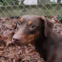 Thumbnail photo of Lotte #2