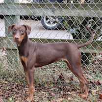 Thumbnail photo of Lotte #3