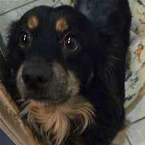 Thumbnail photo of Danny #4