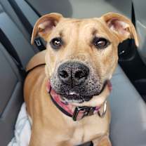 Thumbnail photo of Kennedy #1