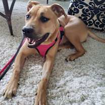 Thumbnail photo of Kennedy #2