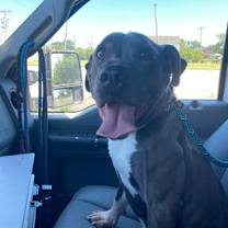 Thumbnail photo of Annmarie #2