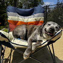 Thumbnail photo of Hazel #2