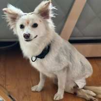 Thumbnail photo of Dolly #2