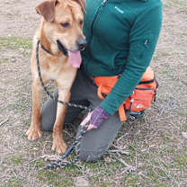 Thumbnail photo of Scooby #2