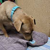 Thumbnail photo of Magdalena #2